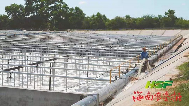 集團獲評山東省市政行業抗擊新冠肺炎疫情先進單位